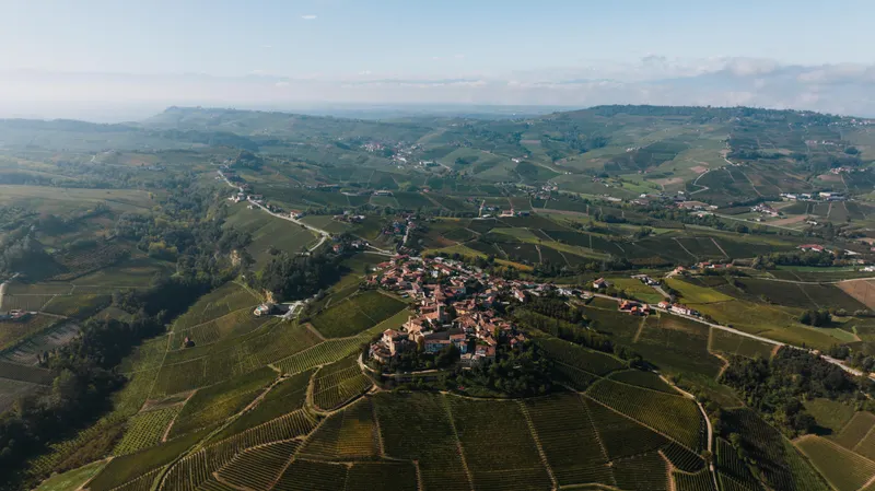 7_italian_vineyard