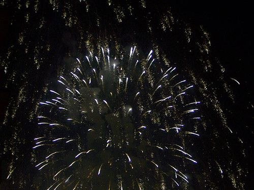 daily_20119