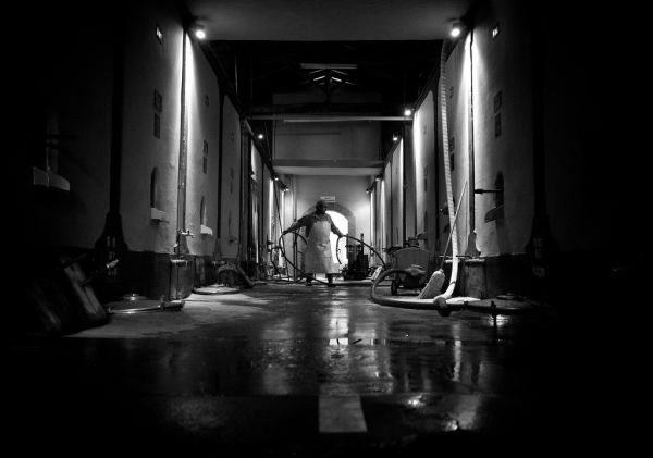 daily_20253