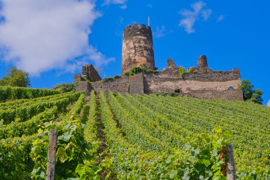 pexels-28160811-germany-june-tourism-winery-trip-opening-transport-cost-20260828 德国酒庄旅行者核对开放时间交通和退改费用
