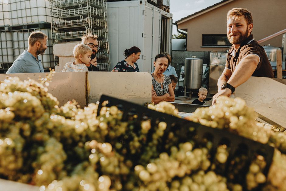 pexels-30173232-germany-wine-main-harvest-early-august28-grapes-not-finished-wine-20260829 德国葡萄园提前进行2026年主采收