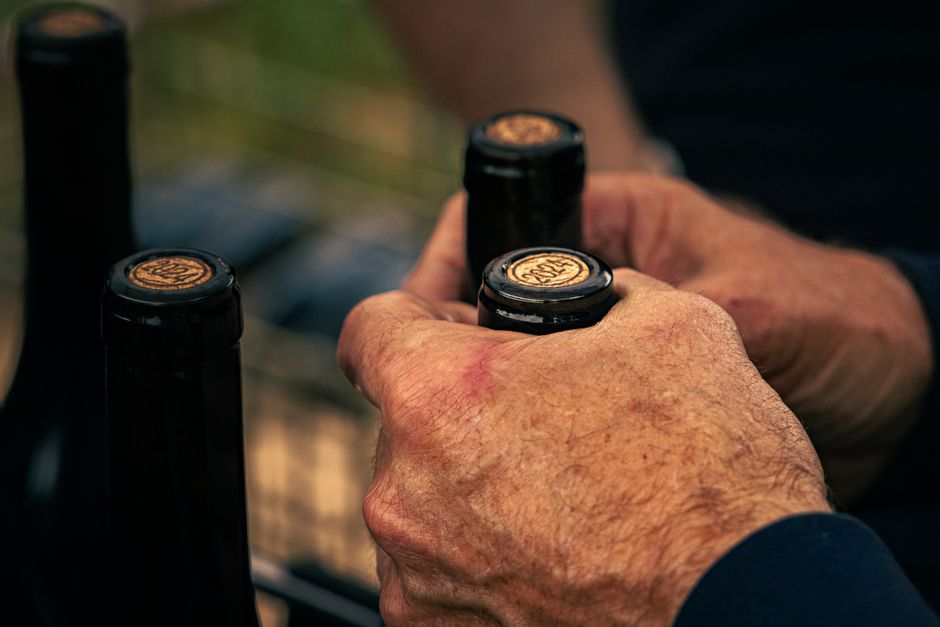 pexels-35855520-china-wine-region-source-vintage-label-guide-20260827 消费者核对中国葡萄酒产区年份和真实酒标