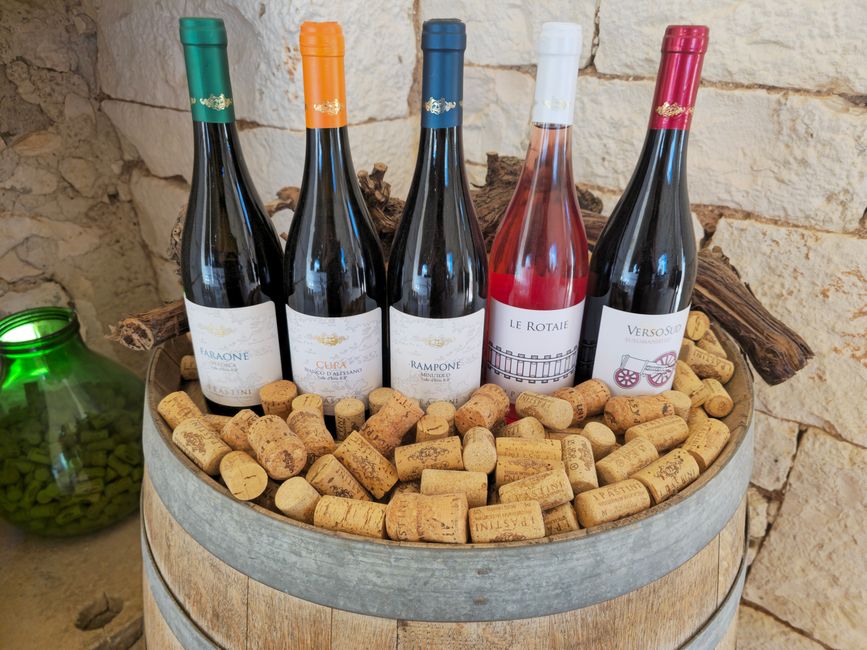 pexels-36542254-eu-wine-pdo-pgi-traditional-terms-eambrosia-verification 欧洲葡萄酒原产地名称与酒标核验
