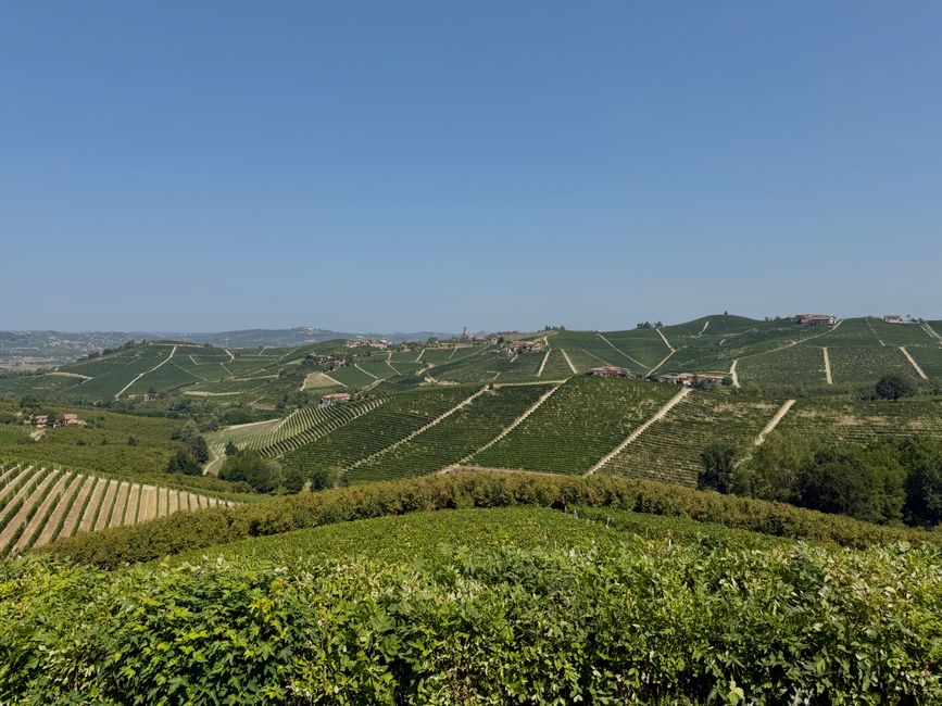 pexels-39105640-italy-dop-igp-technical-file-region-wine-category-label-check-20260829 消费者核对意大利葡萄酒DOP与IGP产区名和标签