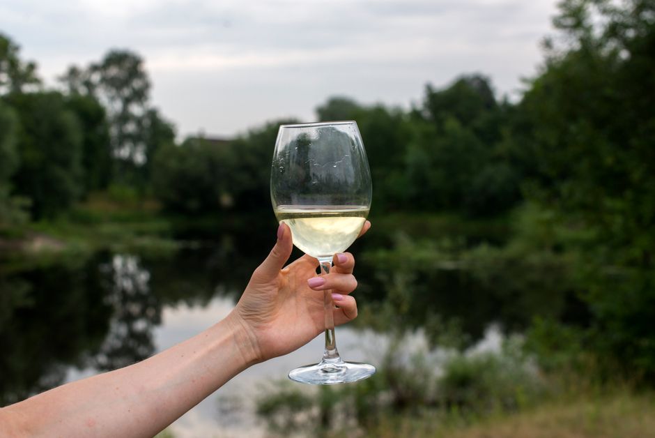 pexels-8959907-german-quality-wine-2025-dry-53-percent-label-acidity-taste-20260829 读者比较德国干型葡萄酒标签与实际酸度口感
