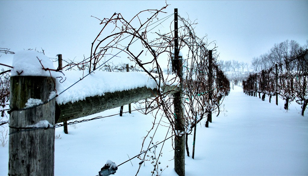 real_209_36