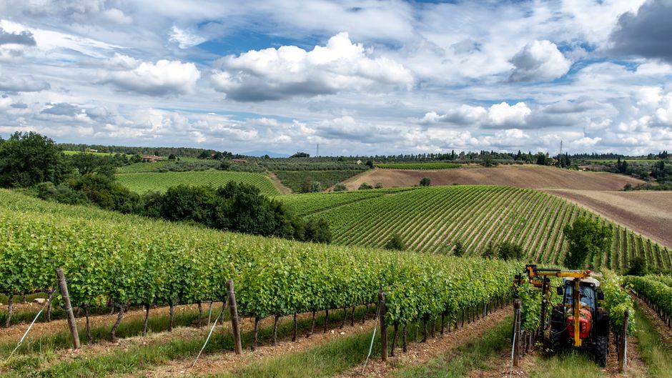 pexels-23441101-italian-wine-resources-by-region-rules-documents 桌面上摆放产区地图与葡萄酒法规文件