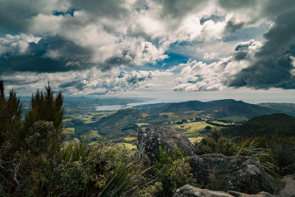 pexels-27623542-marlborough-pinot-noir-on-the-rise-news 新西兰马尔堡产区的葡萄园与山谷景观