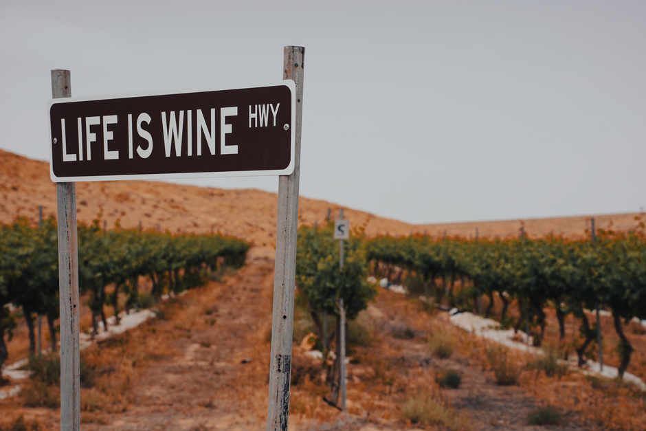 pexels-30219095-organic-sustainable-wine-certification-resources 葡萄酒有机与可持续认证的官方查询资源清单