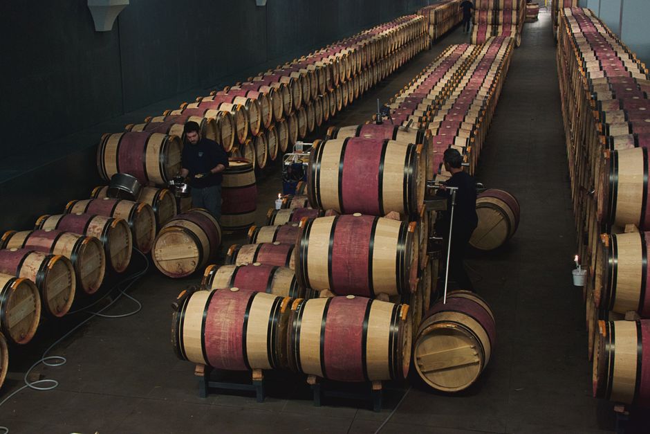 pexels-30832872-container-use-indicators-sustainability-report-wine 可持续报告中橡木桶不锈钢罐混凝土罐的口径差异