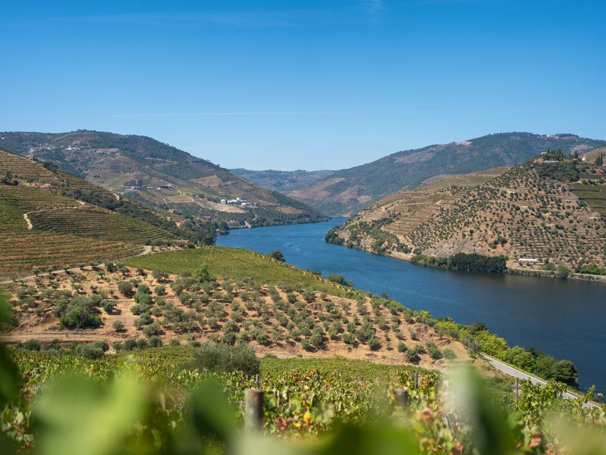 pexels-32906683-spain-portugal-wine-region-grape-ageing-guide 西班牙和葡萄牙葡萄园与产区地图
