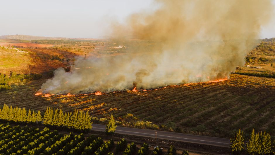 pexels-33622177-eu-vineyards-wildfire-landscape-claim-boundary 欧洲葡萄园与周边林地形成管理景观