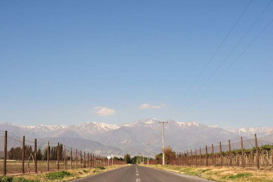 pexels-34004183-wine-folly-argentina-course-news 阿根廷安第斯山麓葡萄酒产区的地理标志与酒标要素示意