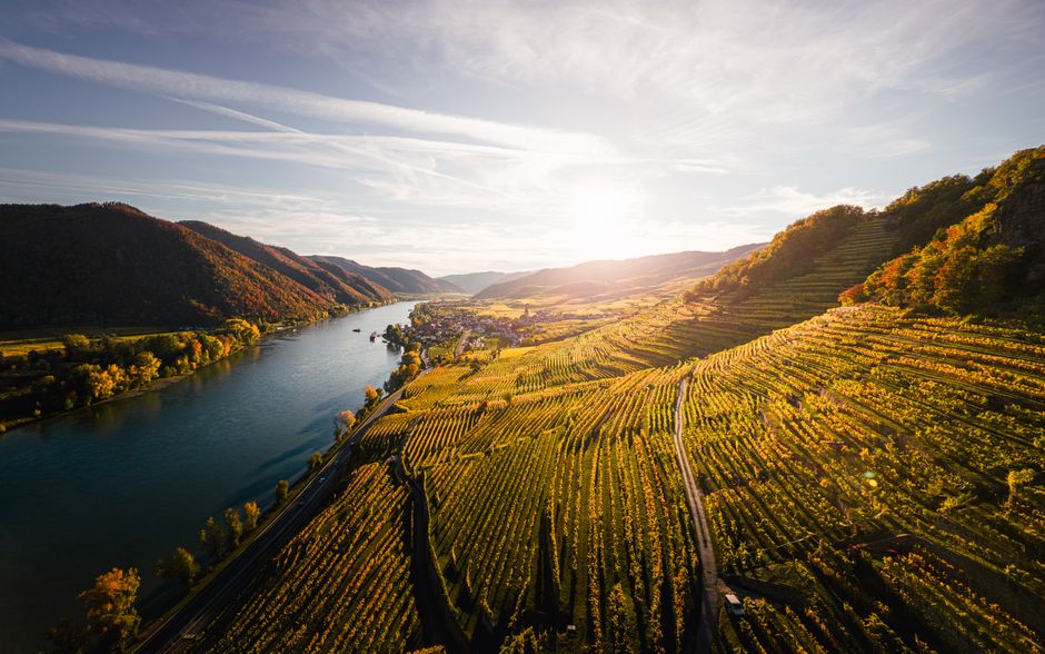 pexels-34513551-austria-dac-map-boundaries-grape-varieties-labelling 奥地利 DAC 产区官方地图边界与法定品种及酒标标注要点