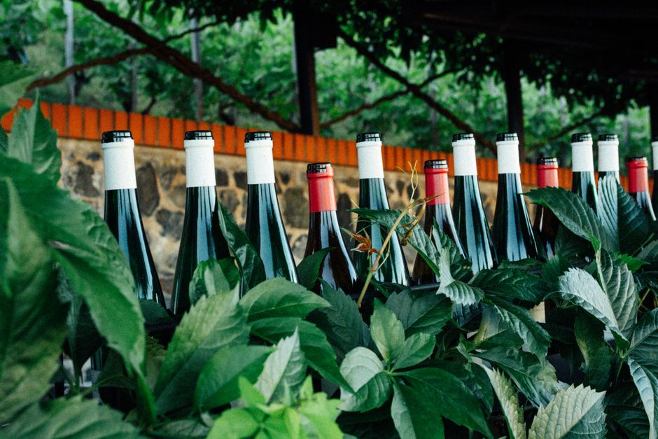 pexels-38041851-dry-riesling-perceived-sweetness-sugar-acidity-aroma 干型雷司令的酒瓶、酒杯与高酸度带来的甜感错觉